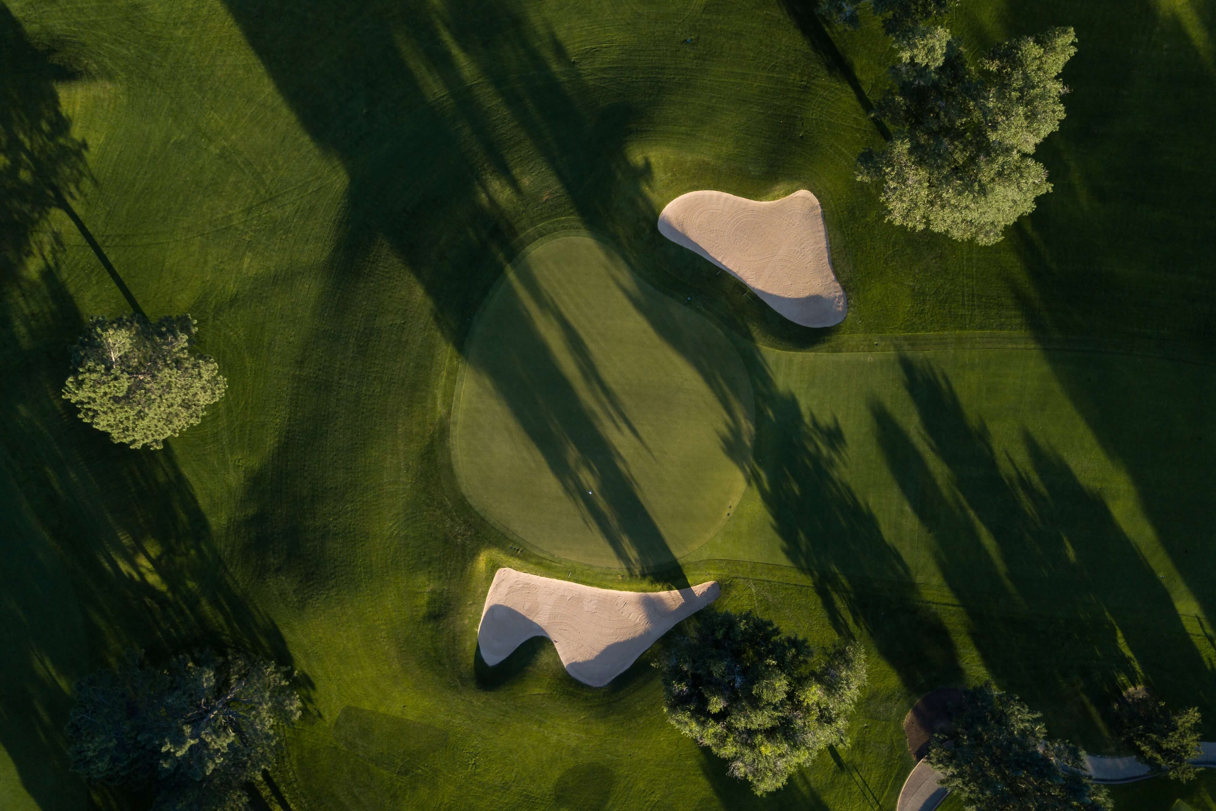 Whitehole Golf Cup